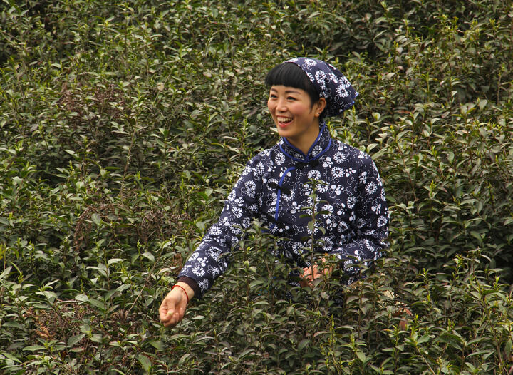 斗破苍穹 年番